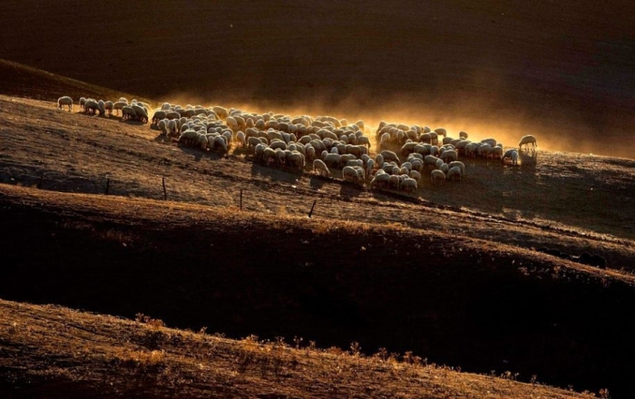 ITALY/