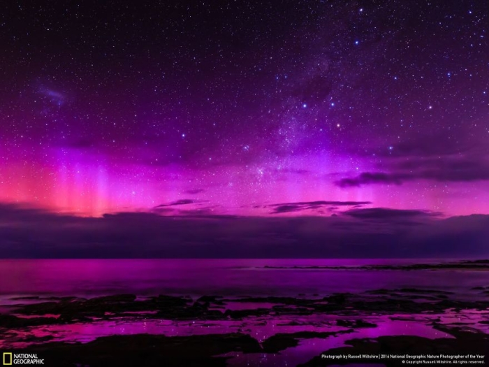 2016-national-geographic-nature-photographer-of-the-year-finalists-11