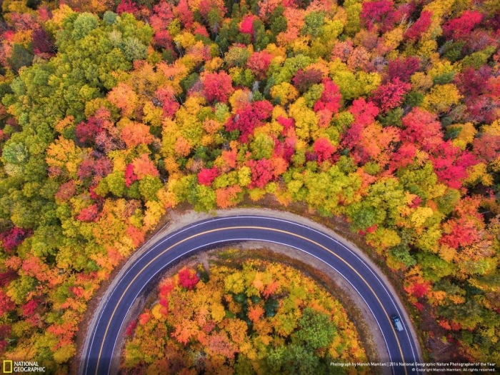 2016-national-geographic-nature-photographer-of-the-year-finalists-14