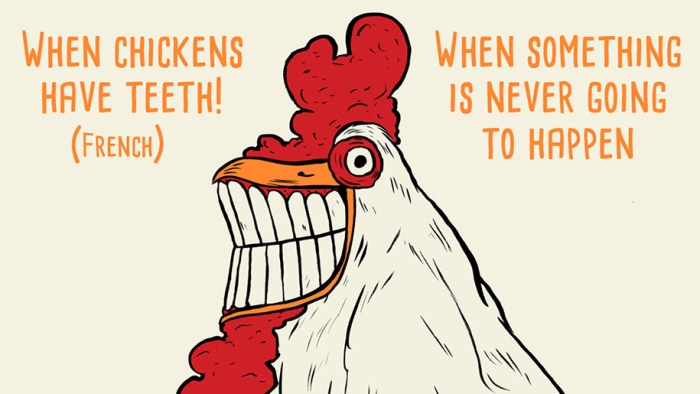 funny-translations-international-idioms-illustrations-paul-blow-10
