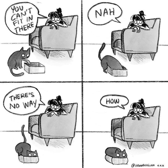 modern-cat-lady-illustrations-hannah-hillam-6