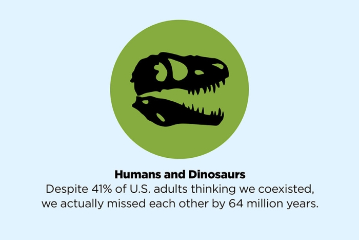 fake-facts-false-information-is-beautiful-13