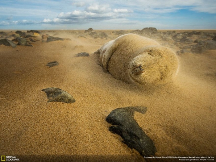 2016-national-geographic-nature-photographer-of-the-year-finalists-15