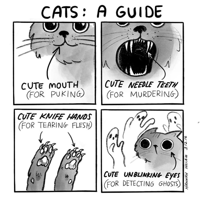 modern-cat-lady-illustrations-hannah-hillam-3