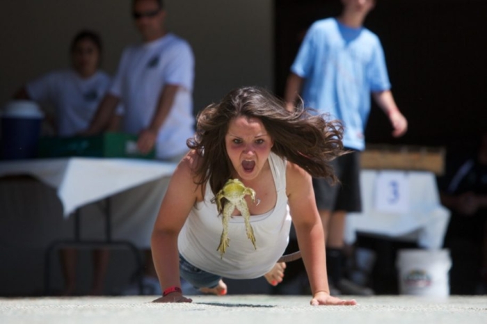 Frog races