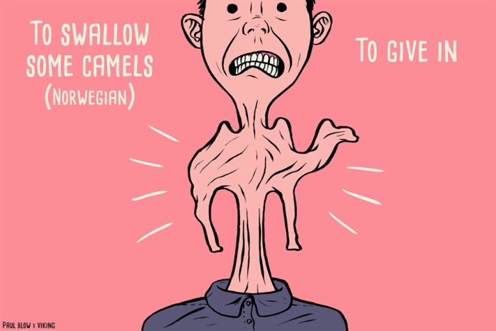 funny-translations-international-idioms-illustrations-paul-blow-3