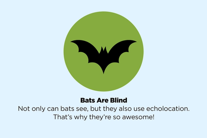 fake-facts-false-information-is-beautiful-25