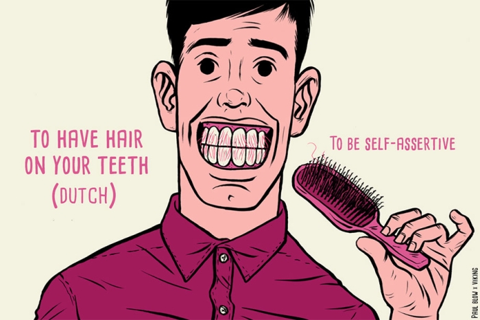 funny-translations-international-idioms-illustrations-paul-blow-6