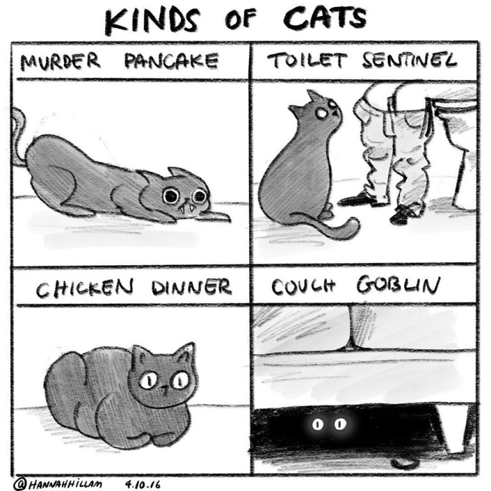 modern-cat-lady-illustrations-hannah-hillam-5