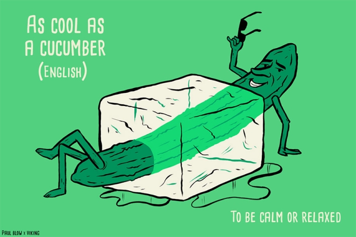 funny-translations-international-idioms-illustrations-paul-blow-1