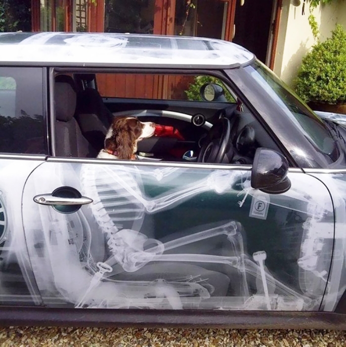 creative-car-owners-funny-tuning-15