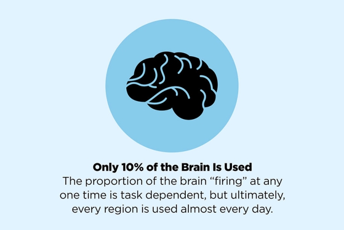 fake-facts-false-information-is-beautiful-22