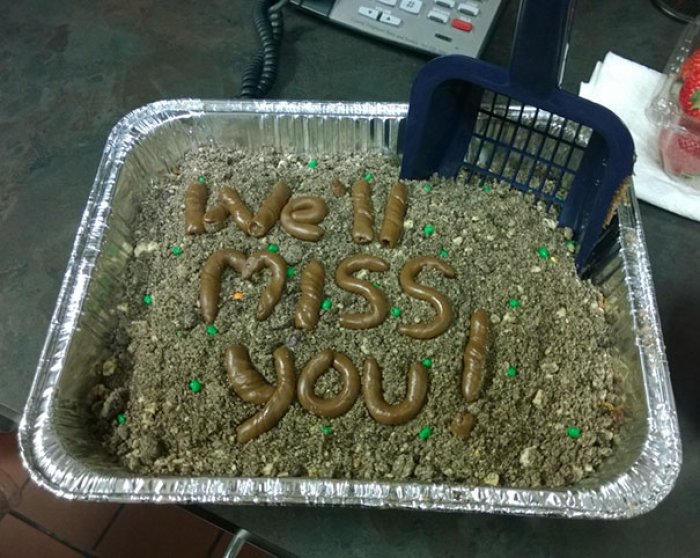 farewell-cakes-quitting-job-8
