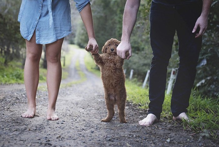 couple-pregnancy-fake-baby-dog-marlboroprincess-6