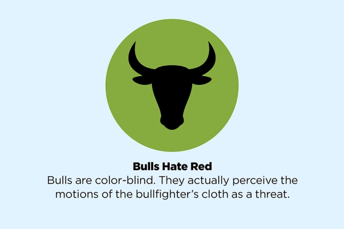 fake-facts-false-information-is-beautiful-27