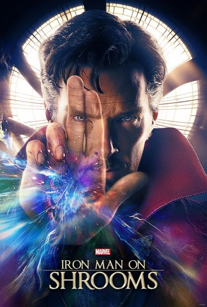 honest-movie-posters-11