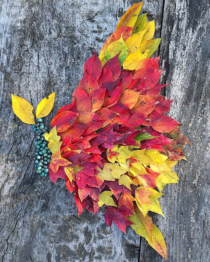 leaf-art-japan-10