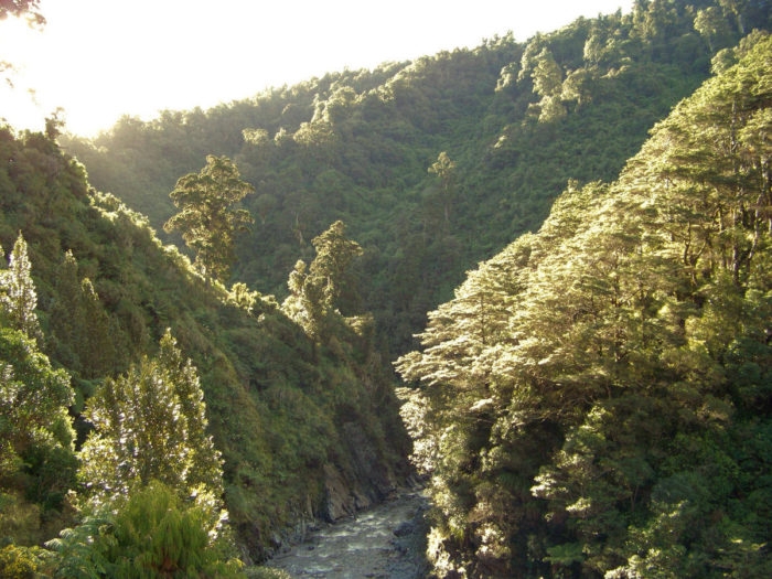 Wellington