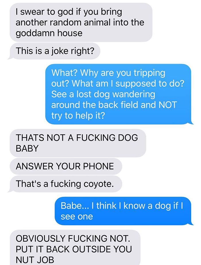 dog-coyote-prank-kayla-eby-1