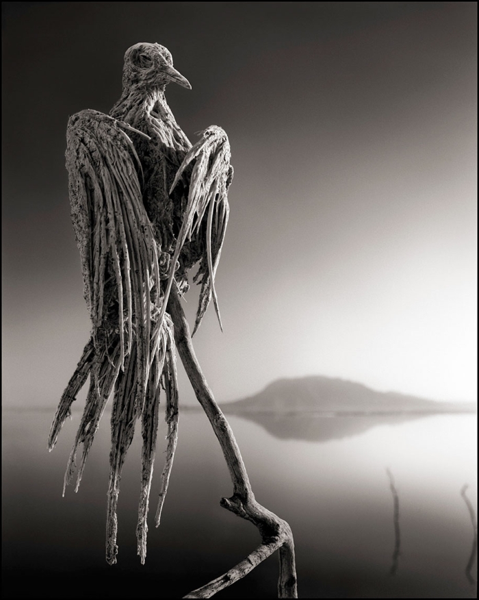 stone-animals-lake-natron-nick-brandt-5