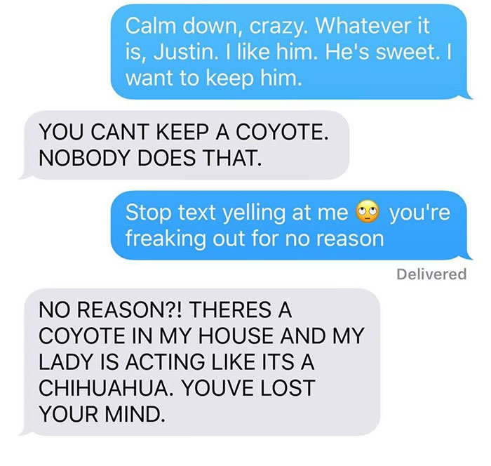 dog-coyote-prank-kayla-eby-5