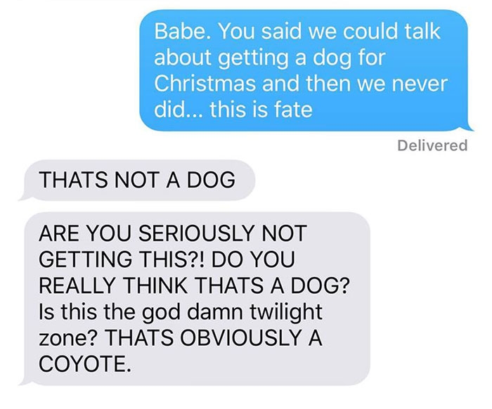 dog-coyote-prank-kayla-eby-6