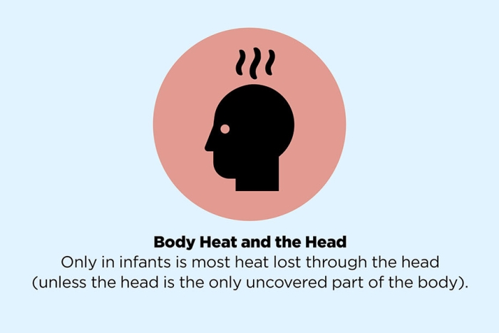 fake-facts-false-information-is-beautiful-34