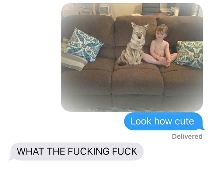 dog-coyote-prank-kayla-eby-7