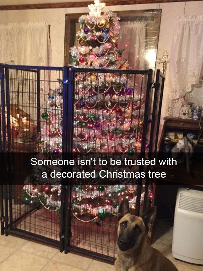 funny-christmas-moments-1