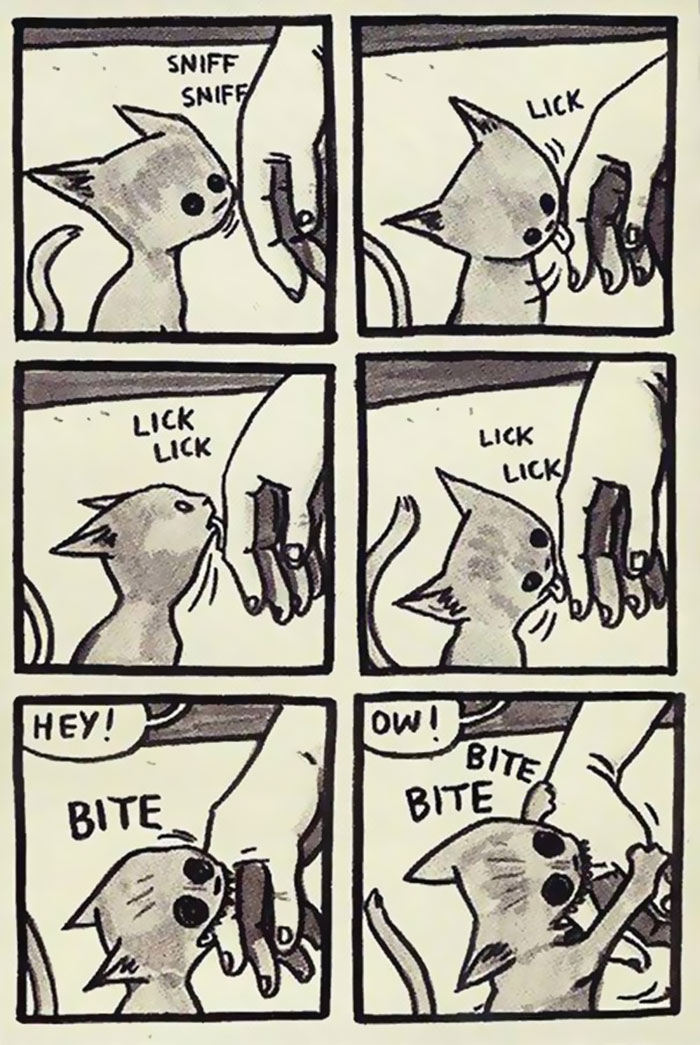 funny-cat-owner-comics-5