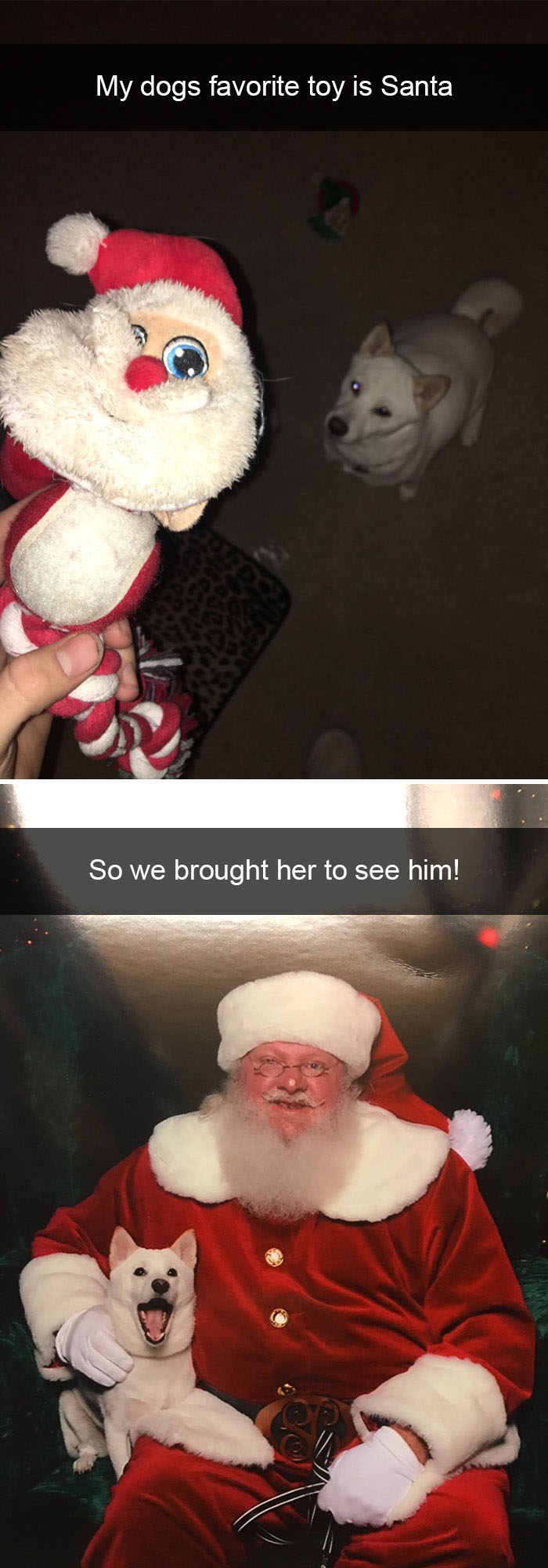 funny-christmas-moments-10