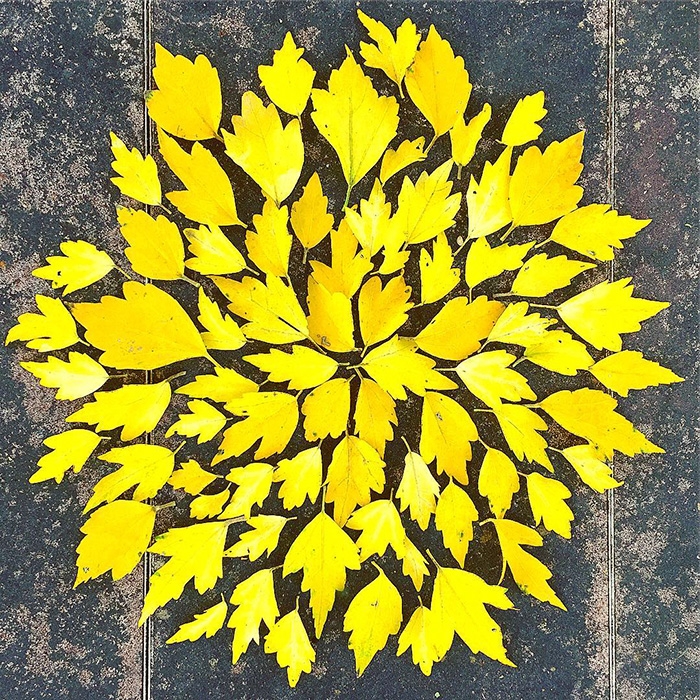 leaf-art-japan-9