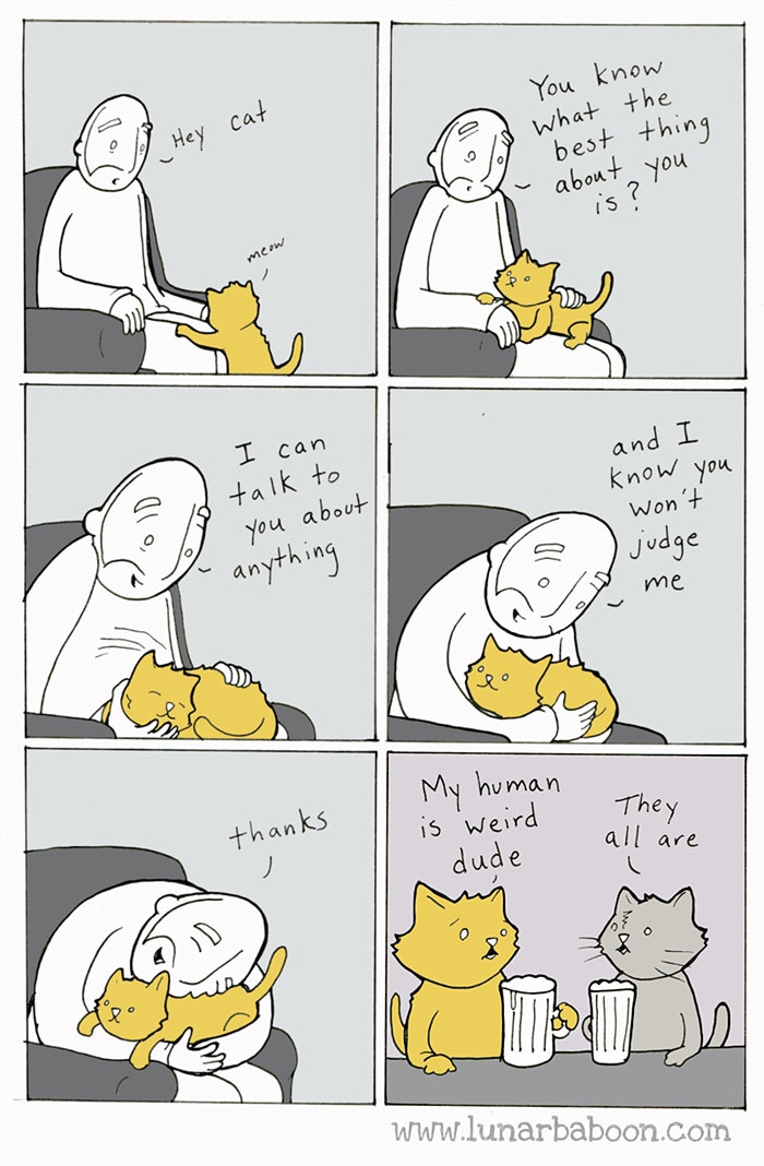 funny-cat-owner-comics-9