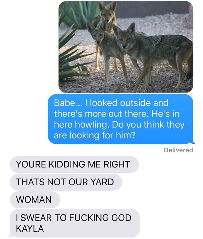 dog-coyote-prank-kayla-eby-2