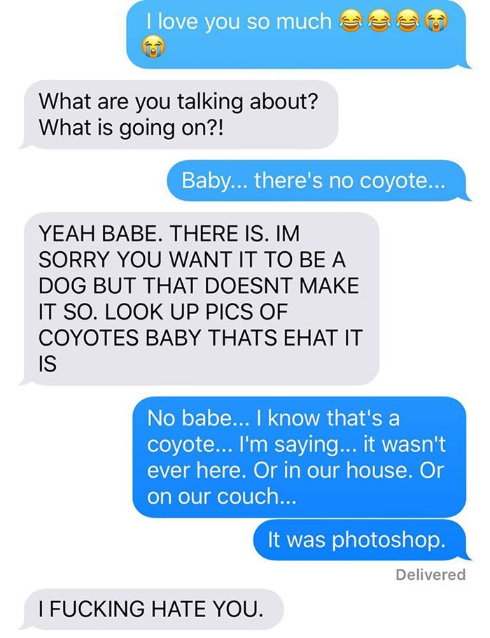 dog-coyote-prank-kayla-eby-3