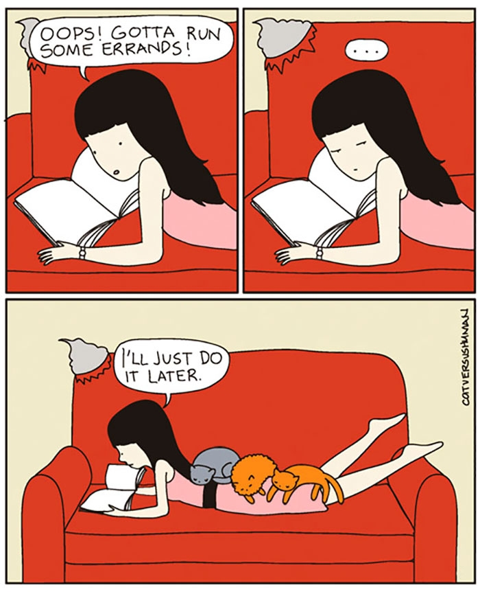 funny-cat-owner-comics-2