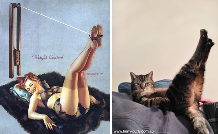 funny-cats-vintage-pin-up-girls-6