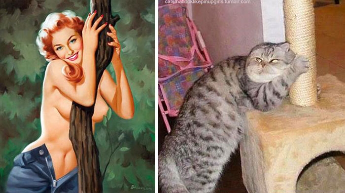 funny-cats-vintage-pin-up-girls-8