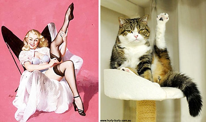 funny-cats-vintage-pin-up-girls-3