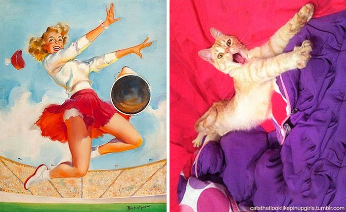 funny-cats-vintage-pin-up-girls-15