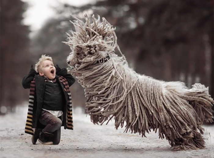 kids-play-big-dogs-photography-andy-seliverstoff-5