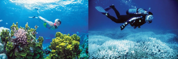 Bleaching of the Great Barrief Reef. See how it looked in 2002(image on the left) and in 2014 (image on the right)