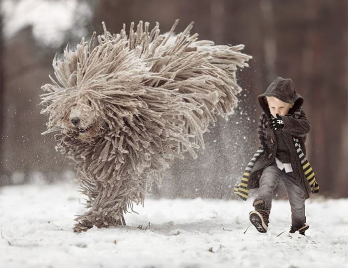 kids-play-big-dogs-photography-andy-seliverstoff-4