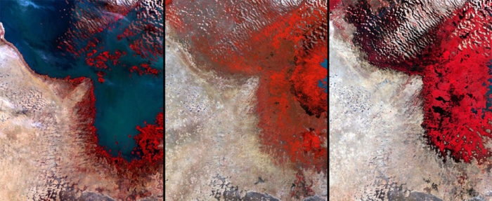 Lake Chad in Africa is seen in 1972 (left), 1987 (center), and 2002 (right). The once sixth biggest lake of the world is now disappearing due to excessive drought