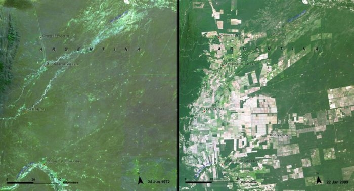The rapid rate of deforestation in Argentina between 1972 and 2009