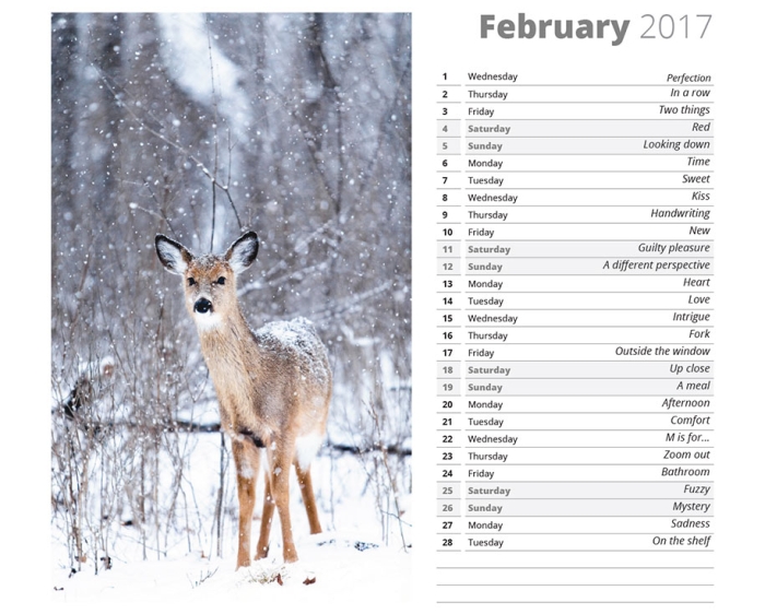 365-days-photo-challenge-ideas-photoblog-5