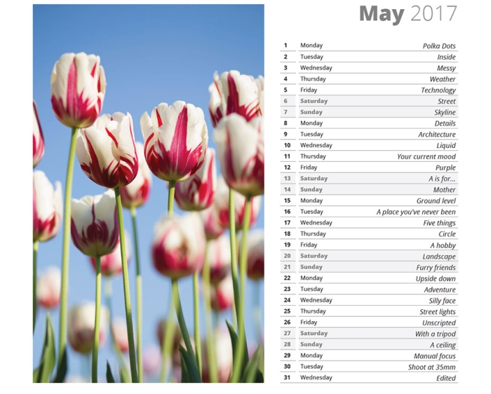 365-days-photo-challenge-ideas-photoblog-8