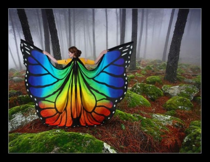 Hand Screen Printed Butterfly Silk Isis Wings