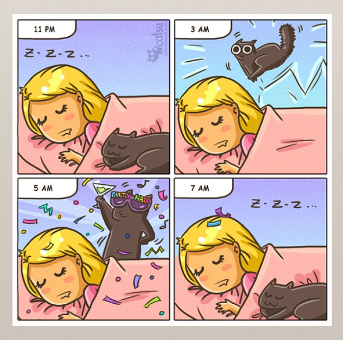 life-with-funny-cats-comics-catsu-10