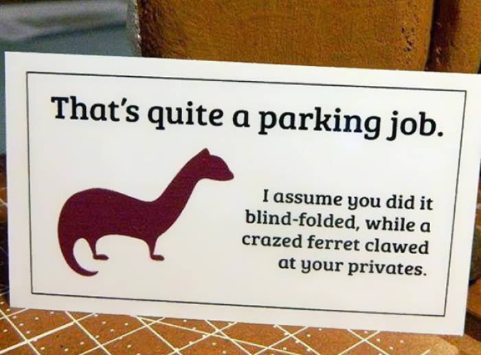 funny-parking-notes-spot-dog-passive-aggressive-2